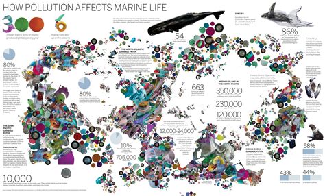 How Pollution Affects Marine Life Visually
