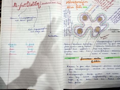 Class 12th Biology Sexual Reproduction In Flowering Plants Handwritten