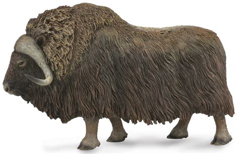 Collecta Musk Ox Toy At Mighty Ape Nz