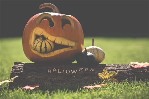 Why Halloween Is So Important In Our House Families