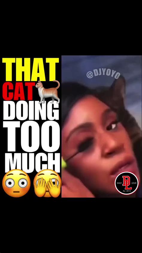 daily loud on twitter rt dailyloud cat was slapping tf out of her 👀😂