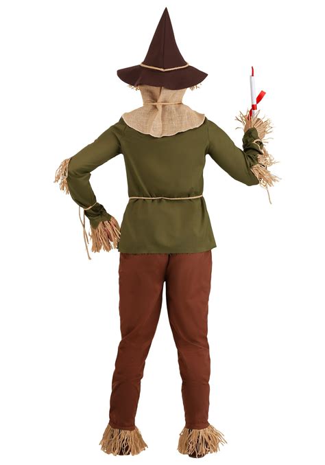 Wizard Of Oz Scarecrow Plus Size Costume