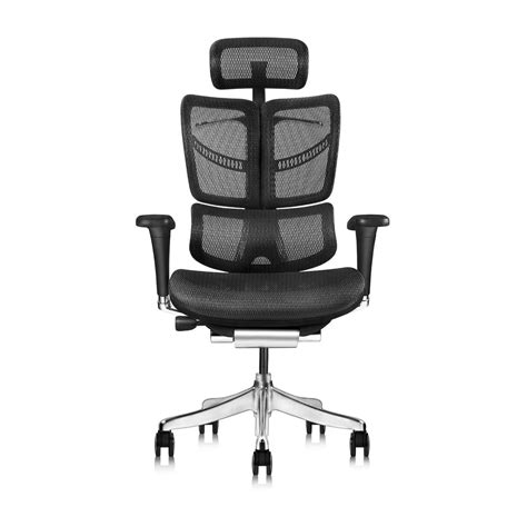 Ergonomically Designed Office Chair With Adjustable Headrest And Incli