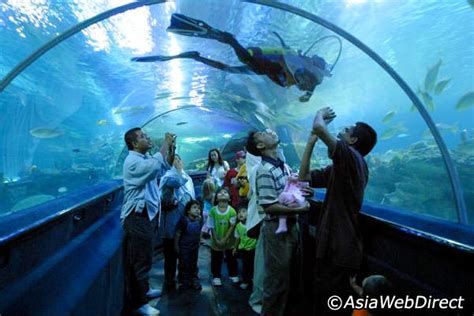 All sales are final and incur 100% cancellation penalties. Obyek Wisata yang Siap Manjakan Anak Anda | Wisata Malaysia