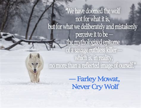 Crying Wolf Quotes Quotesgram