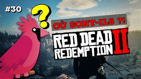 30 Cardinal OÙ Les Chasser Red Dead Redemption 2 Youtube