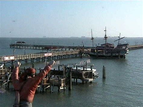 Pier 19 Pirates Landing Webcam In South Padre Island Webcams In South Padre Island Texas