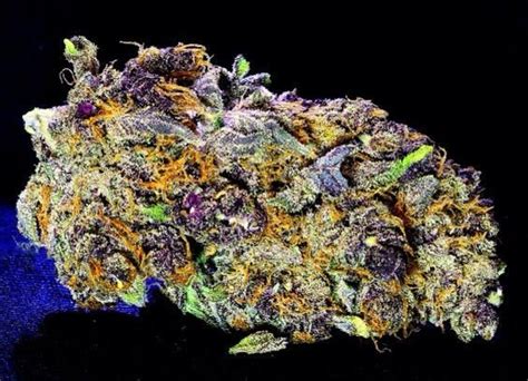 146 Best Pretty Little Nugs Images On Pinterest Pretty High Times