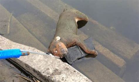 It has been at the centre of the show's setting since it began in 1995. Dog found dead in pond after being weighed down with ...