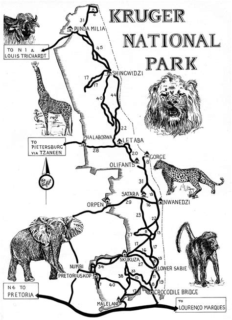 Kruger National Park Map The Holiday Zebra Wild Safaris In