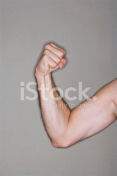 Closeup Of Man Flexing Biceps Stock Photo Royalty Free Freeimages