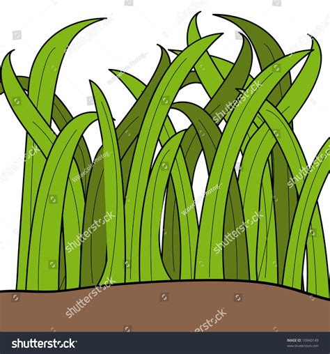 Cartoon Drawing Of Blades Of Green Grass Stock Photo 10940149
