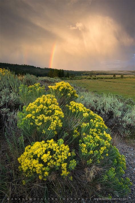 Grand Teton National Park Sagebrush Rainbow Sunrise Thunde Flickr