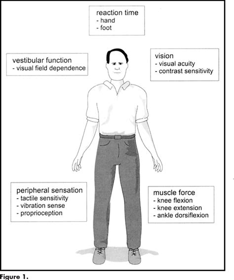Pdf A Physiological Profile Approach To Falls Risk Assessment And