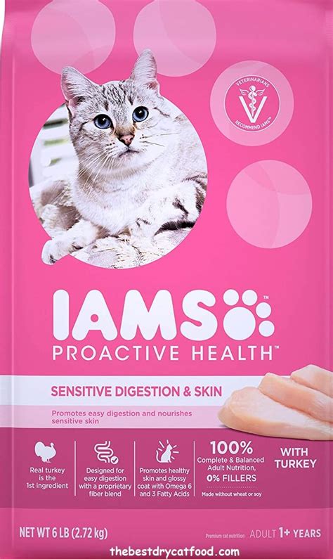 Best Dry Cat Food For Sensitive Stomach Diarrhea Cat Meme Stock