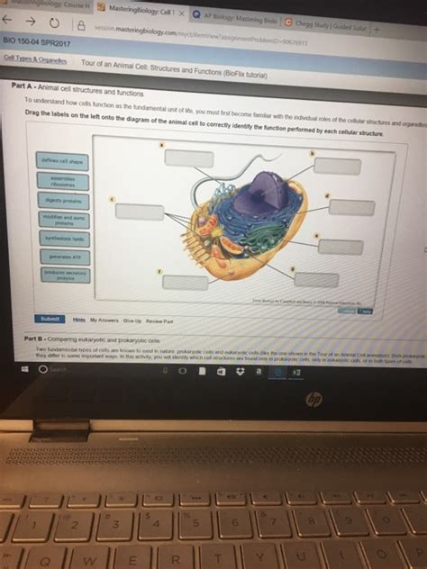  for example, a macrophage's ability to destroy bacteria involves the whole cell, coordinating components such as the cytoskeleton, lysosomes, and. Biology Archive | February 03, 2017 | Chegg.com