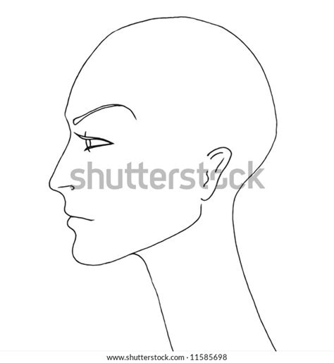 beautiful androgynous mannequin no hair line stock illustration 11585698 shutterstock