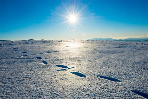 Trail Of Footprints In Winter Landscape And Sun Stock Photo Image Of