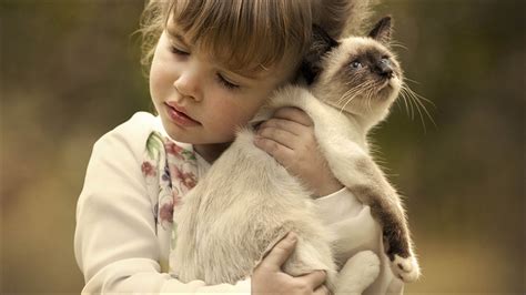 Little Girl Hugging A Kitten Wallpapers And Images Wallpapers