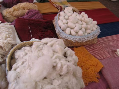 Lucy Patchlife Proceso De La Seda En Oaxaca Silk Process In Oaxaca