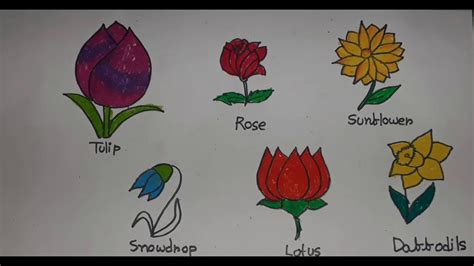 Flowers Drawing Images With Names Best Flower Site