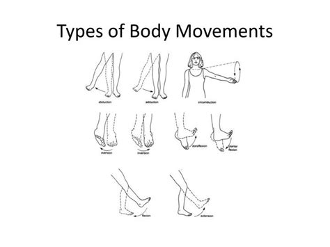 Types Of Body Movements Anatomy And Physiology I