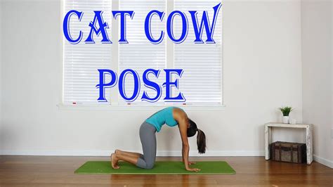 Cat Cow Pose Yoga Sleep Breathing Technique Youtube