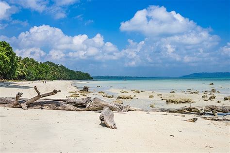 8 Pristine Andaman And Nicobar Island Beaches For A Perfect Beach Holiday