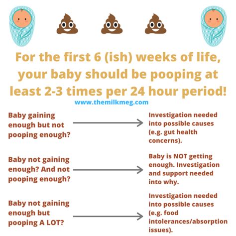 A Guide To Breastfed Babys Poop The Milk Meg