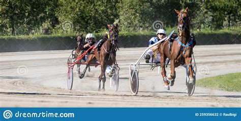 Racing Horses Trots On The Track Of Stadium Trotting Horse Racing