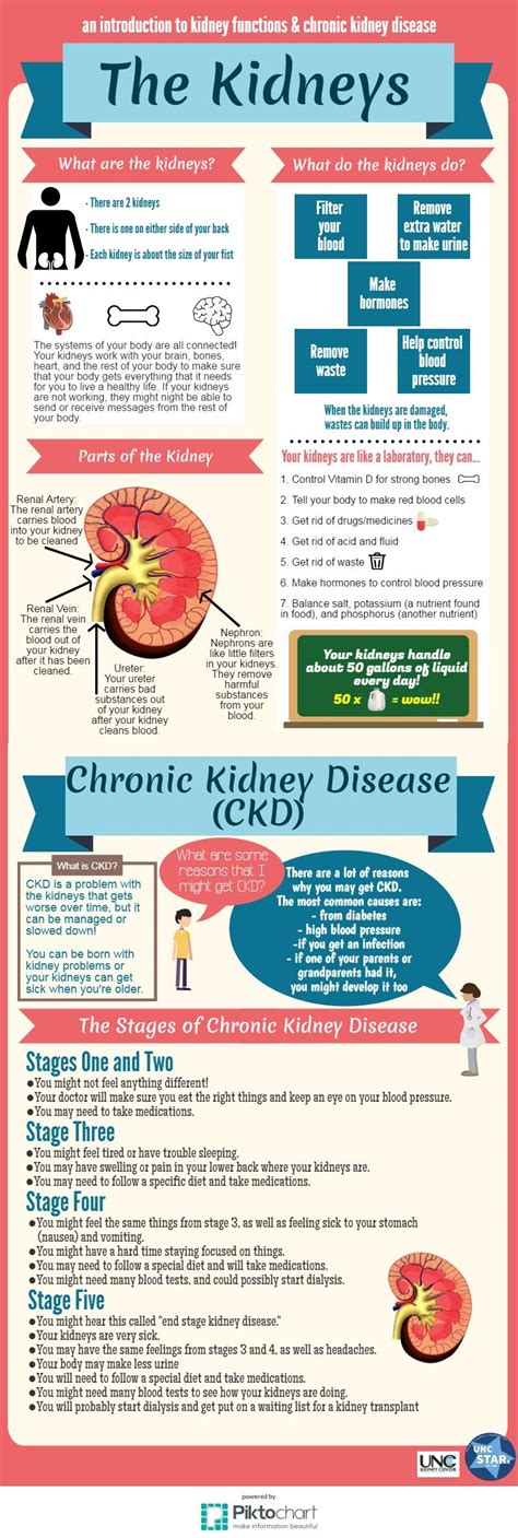 Type Of Chronic Health Condition Kidneys And Ckd Unc Starx Program