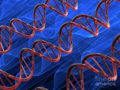 Dna Molecules Photograph By Laguna Design Science Photo Library Pixels