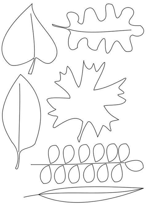 coloring page leaves  printable coloring pages img