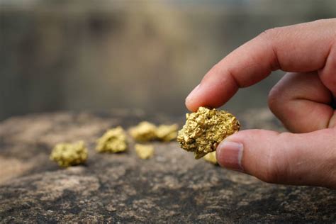 About Gold Industry Indian Gold Institute