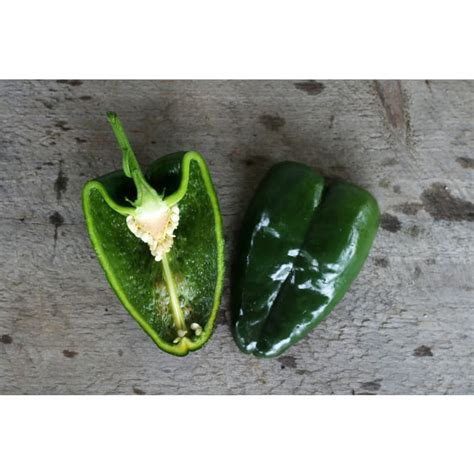 Ancho Hot Pepper Heirloom 80 Days Pinetree Garden Seeds