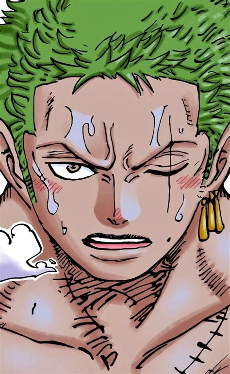 Zoro One Piece One Piece Comic One Piece Fanart Manga Anime One