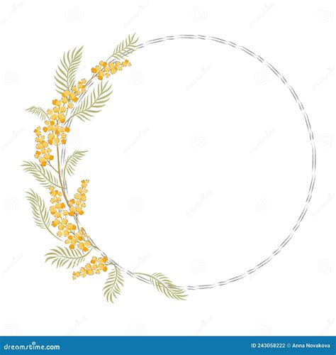 Mimosa Hand Drawn Flower Frame Vector Illustration Stock Vector