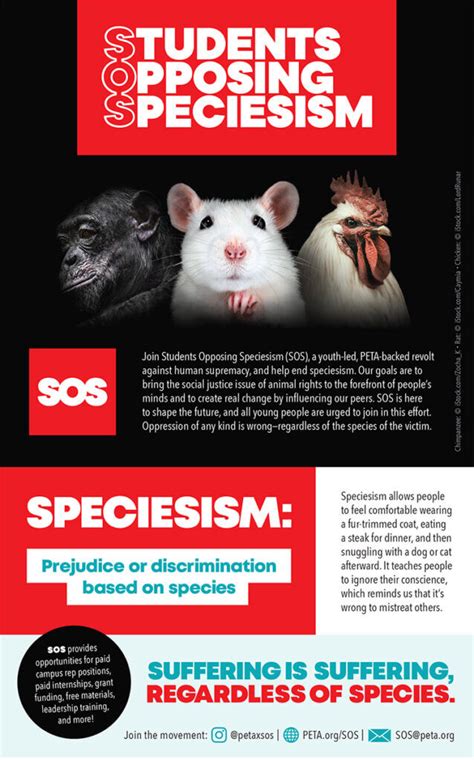 Free Printable Leaflets To Help You End Speciesism Peta Sos