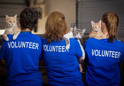 Humane Society of Loudoun County 10 Reasons to Volunteer at the Humane ...