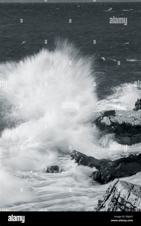 Stormy Sea Waves Stock Photo Alamy