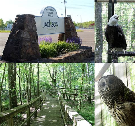 Best food deals in jackson, tn. Southern Mom Loves: Things To Do: Cypress Grove Nature ...