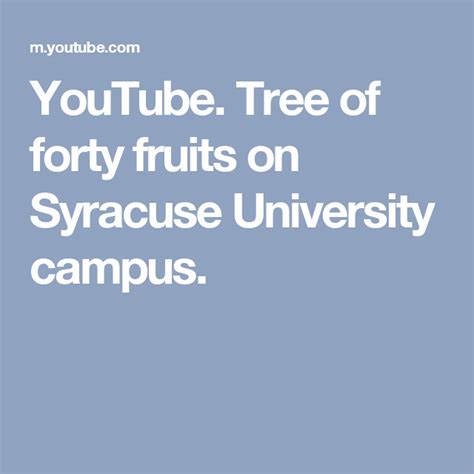 Youtube Tree Of Forty Fruits On Syracuse University Campus