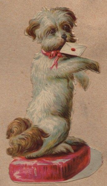 Vintage Clip Art 3 Dogs In An Envelope Vintage Dog Dog Art Cute