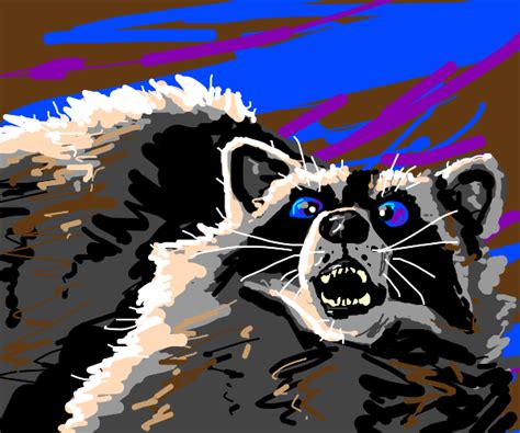 Chonky Raccoon Drawception