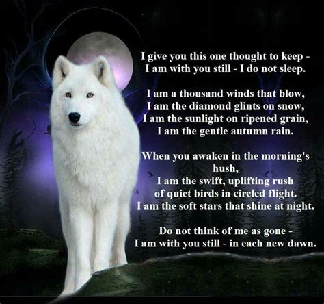 Animal Spirit Guides Wolf Spirit Animal Wolf Poem Lone Wolf Quotes