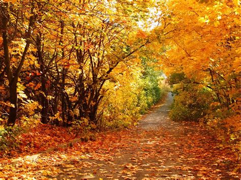 Hintergrund Pemandangan Musim Semi Schöne Herbsttapeten 1600x1200