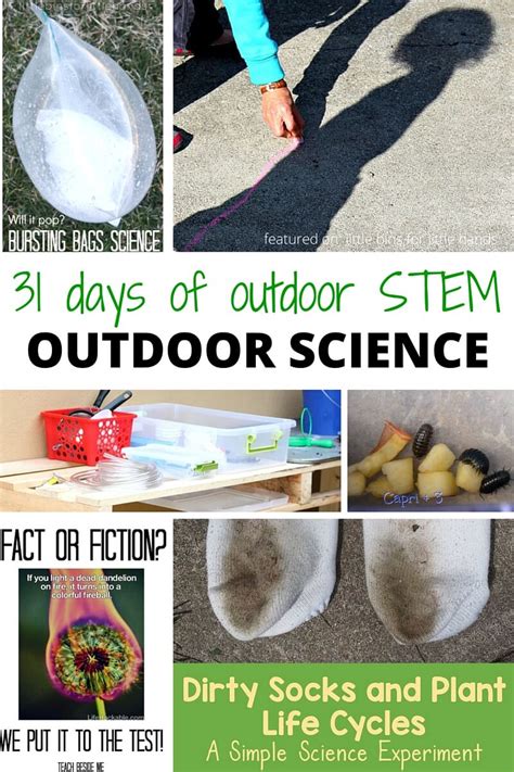 Outdoor Science Activities For Kids Outdoor Stem