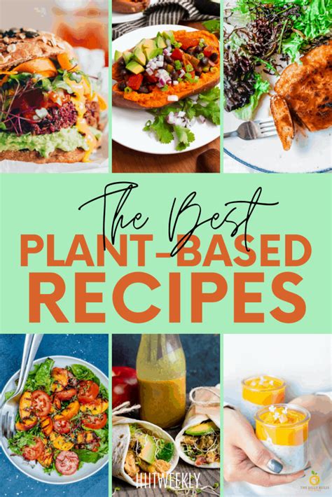 60 Nutrient Dense Plant Based Vegan Recipes Almost Anybody Can Enjoy