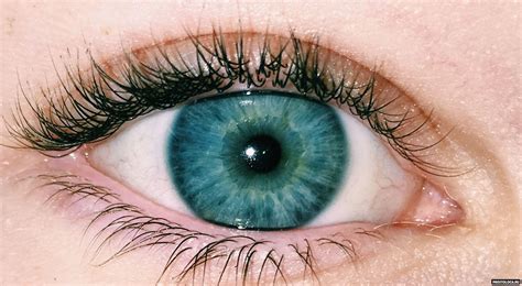 Оттенки синих и голубых глаз