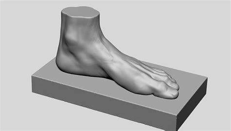 Foot Printable V2 3d Model 3d Printable Cgtrader